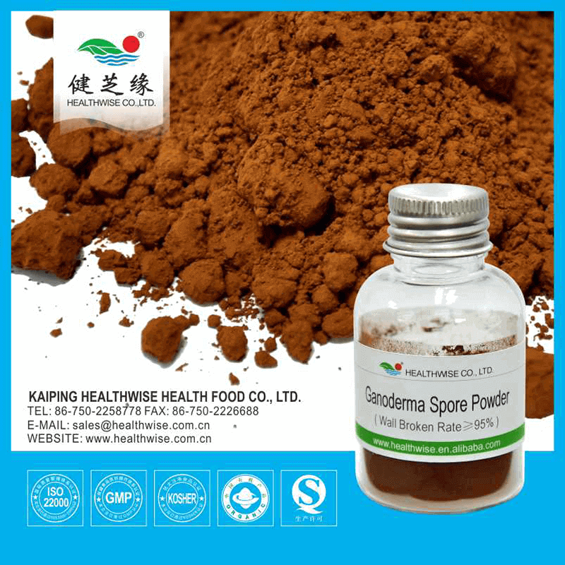 Reishi Spore Powder