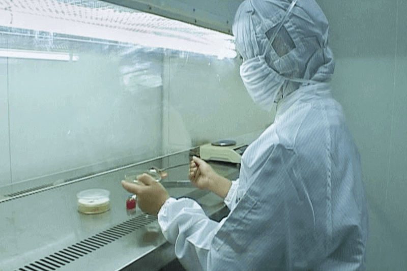 Natural Oil Supplier Quality Control-The Microbiology Laboratory 