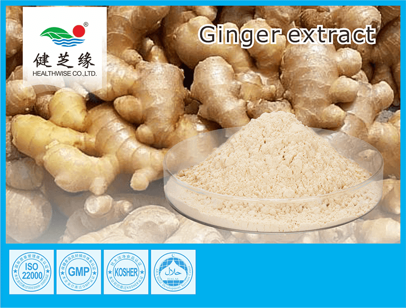 Ginger Extract