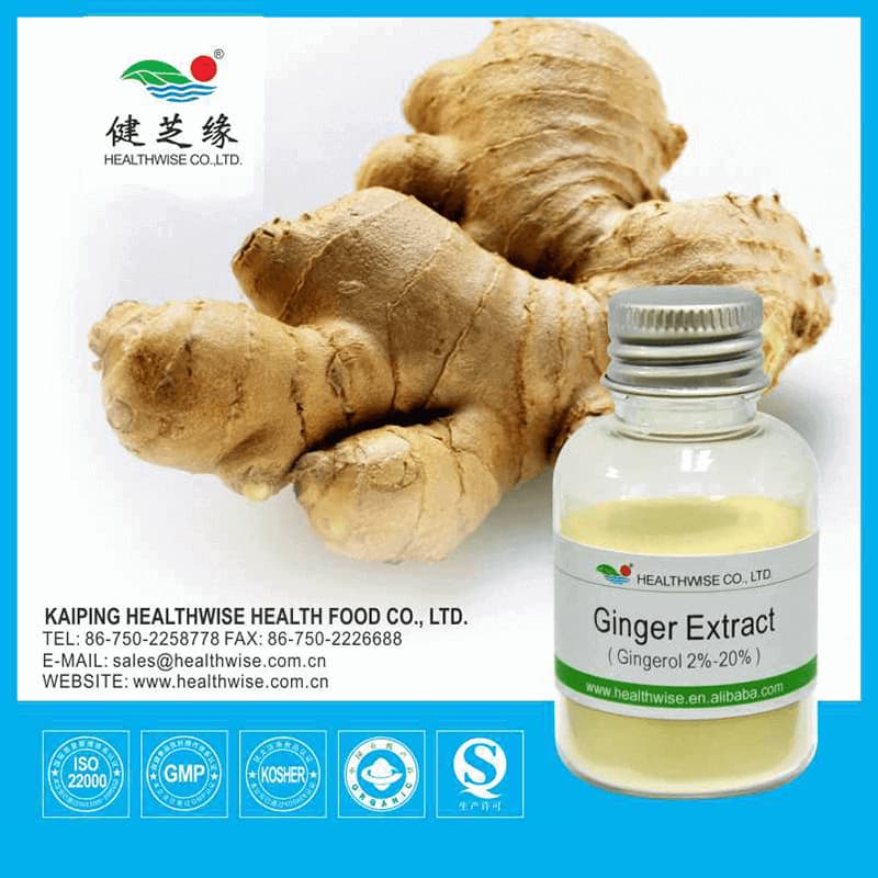Ginger Root Extract Powder
