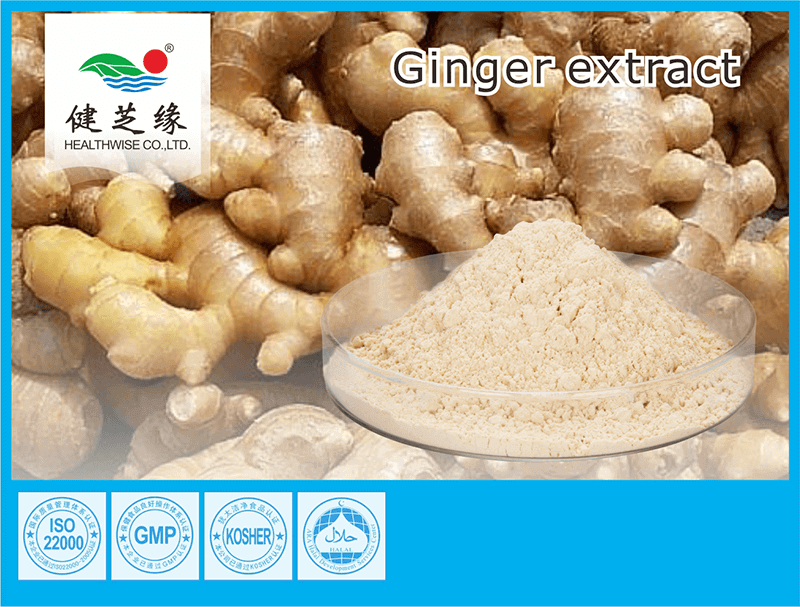 ginger root extract powder