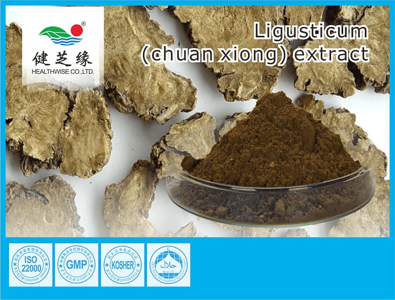 ligusticum root extract