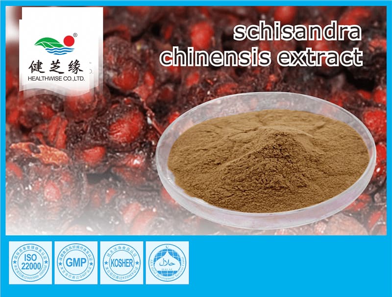 Schisandra Chinensis Extract