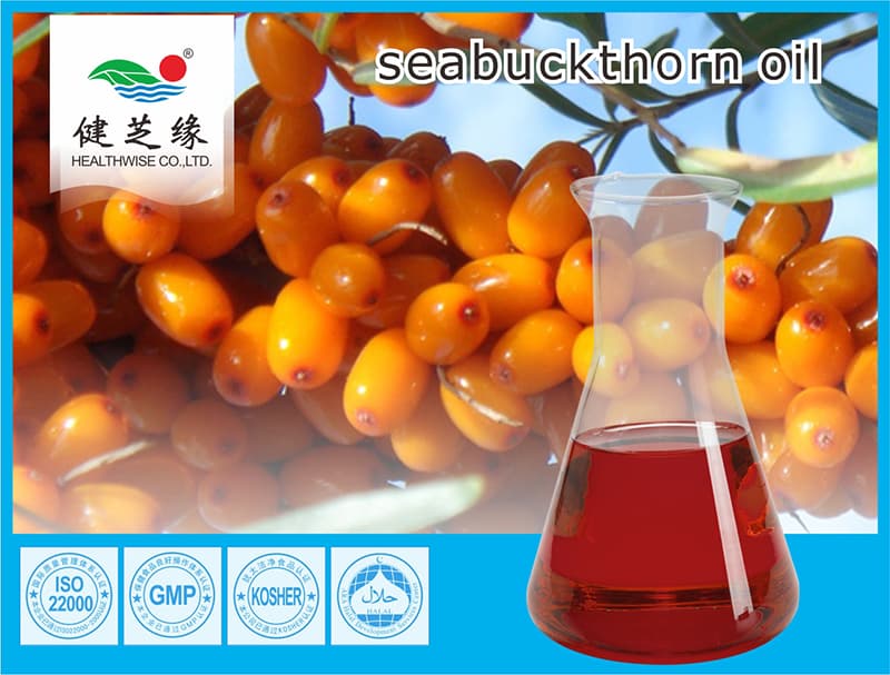 Seabuckthorn Oil