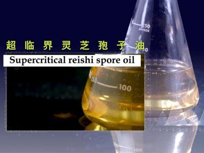 Supercritical Extraction of Reishi Spore Oil